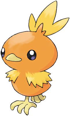 torchic smogon|torchic moveset gen 3.